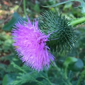 Meet your Posher, Claire